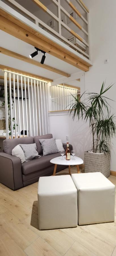 Zona Apartments 1 Zrenjanin Zewnętrze zdjęcie