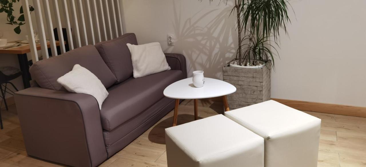 Zona Apartments 1 Zrenjanin Zewnętrze zdjęcie