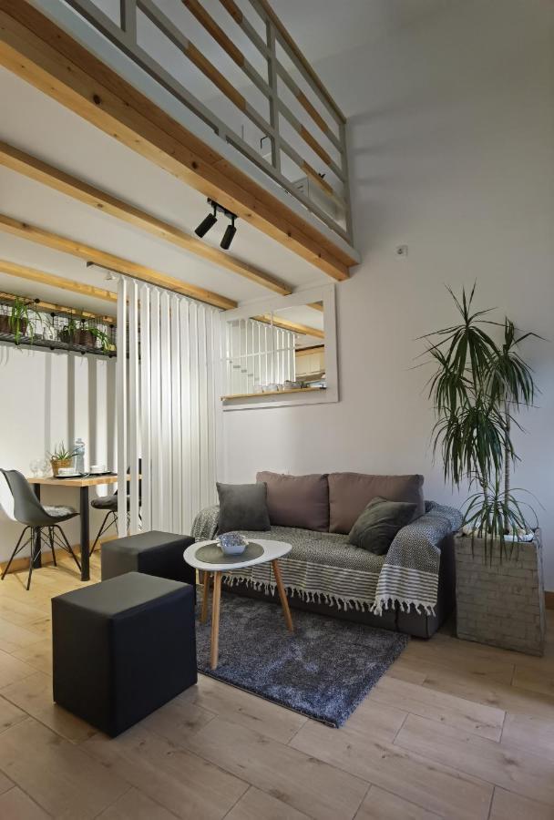 Zona Apartments 1 Zrenjanin Zewnętrze zdjęcie